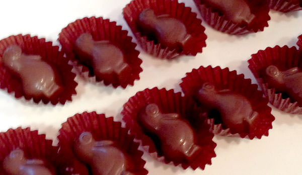 140128-pierremarcolini-animaux-caramel-valentinechocolate1.jpg ピエール マルコリーニ アニモ タイトル画像