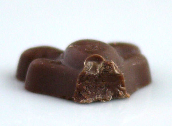 140128-morozoff-picturebook-valentinechocolate3.jpg モロゾフ アレックス&マイケル クマ型チョコレート 断面図