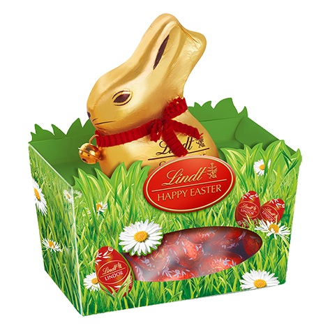 ゴールドバニー ネスト