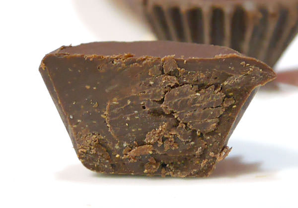 「トゥシェフ」断面図